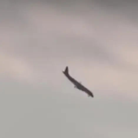 Sturzflug Sturzflug
